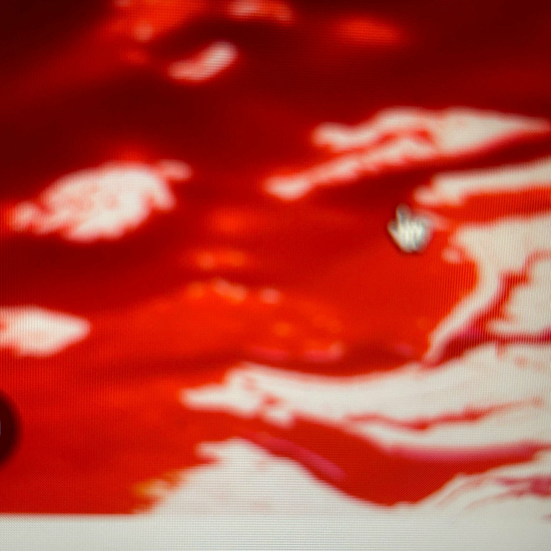 Album cover of When u bleed (feat. 5AM)