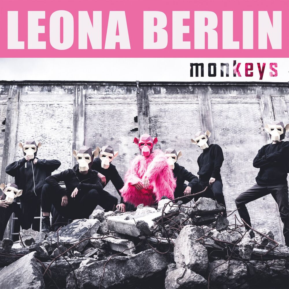 Picture of Monkeys