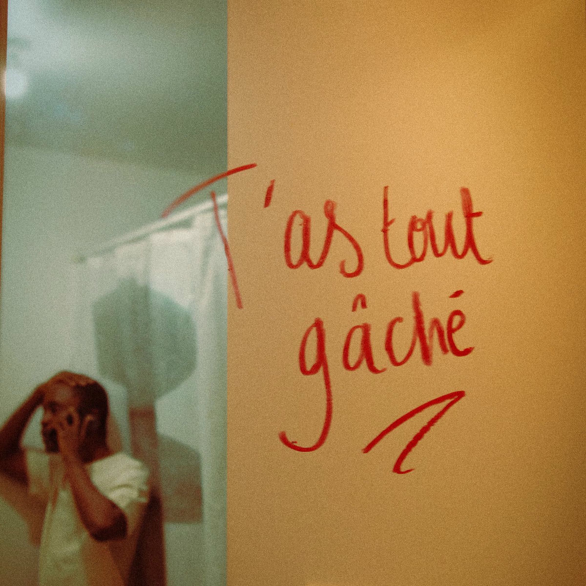 Album cover of T'as tout gâché