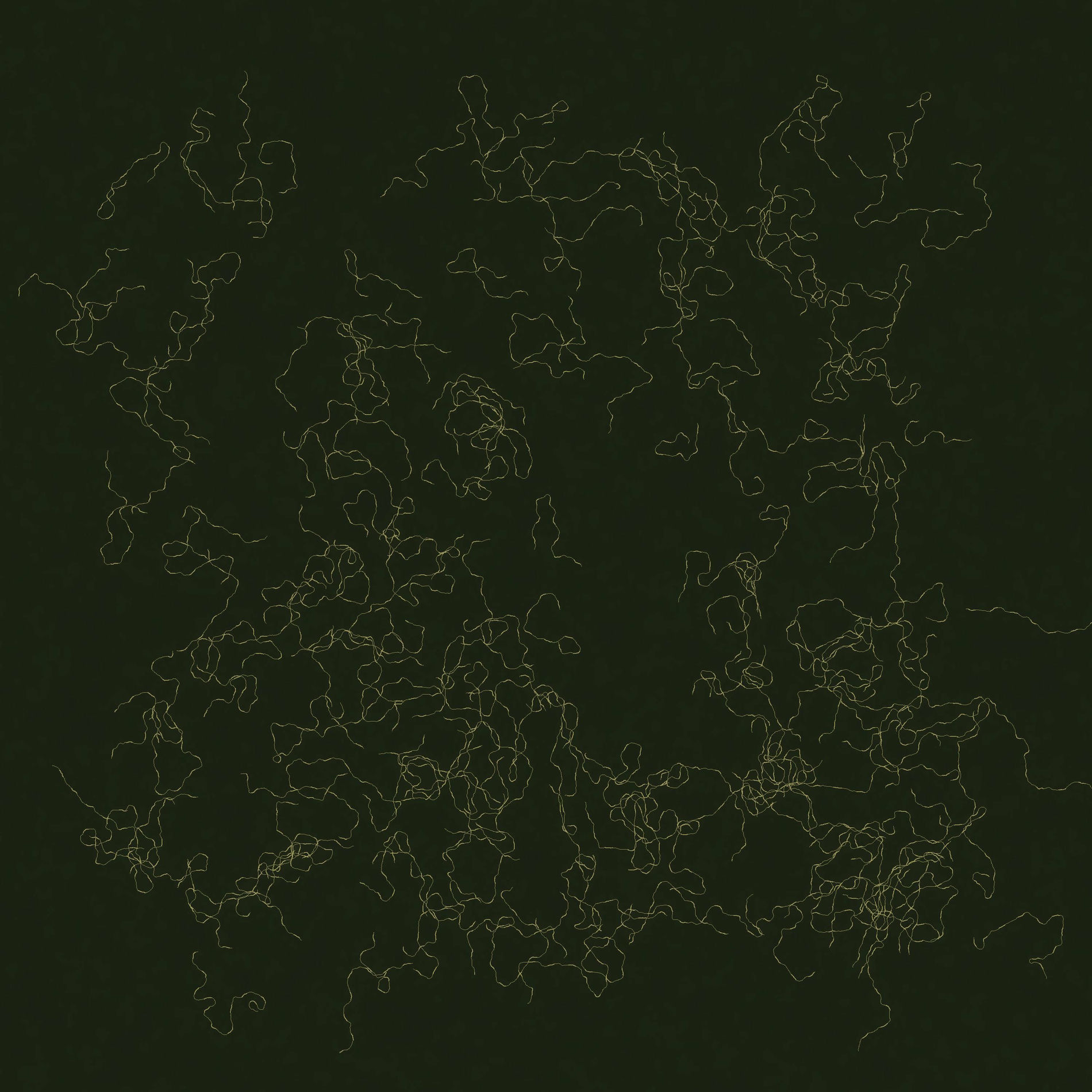 Album cover of When, the Shade