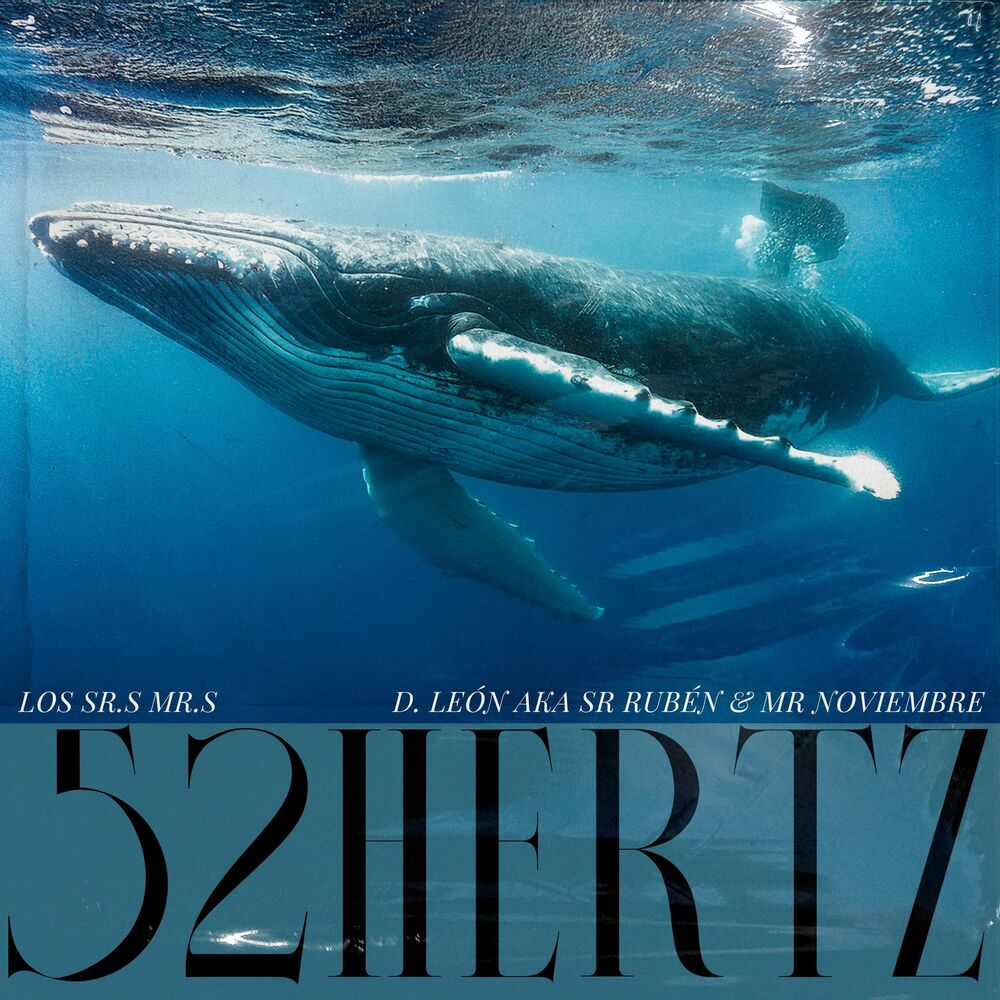 Picture of 52 Hertz