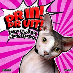 Cover of Dr In Dr Uit (feat. Tavv & Gino Stacksz)