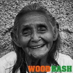 Cover of Bash