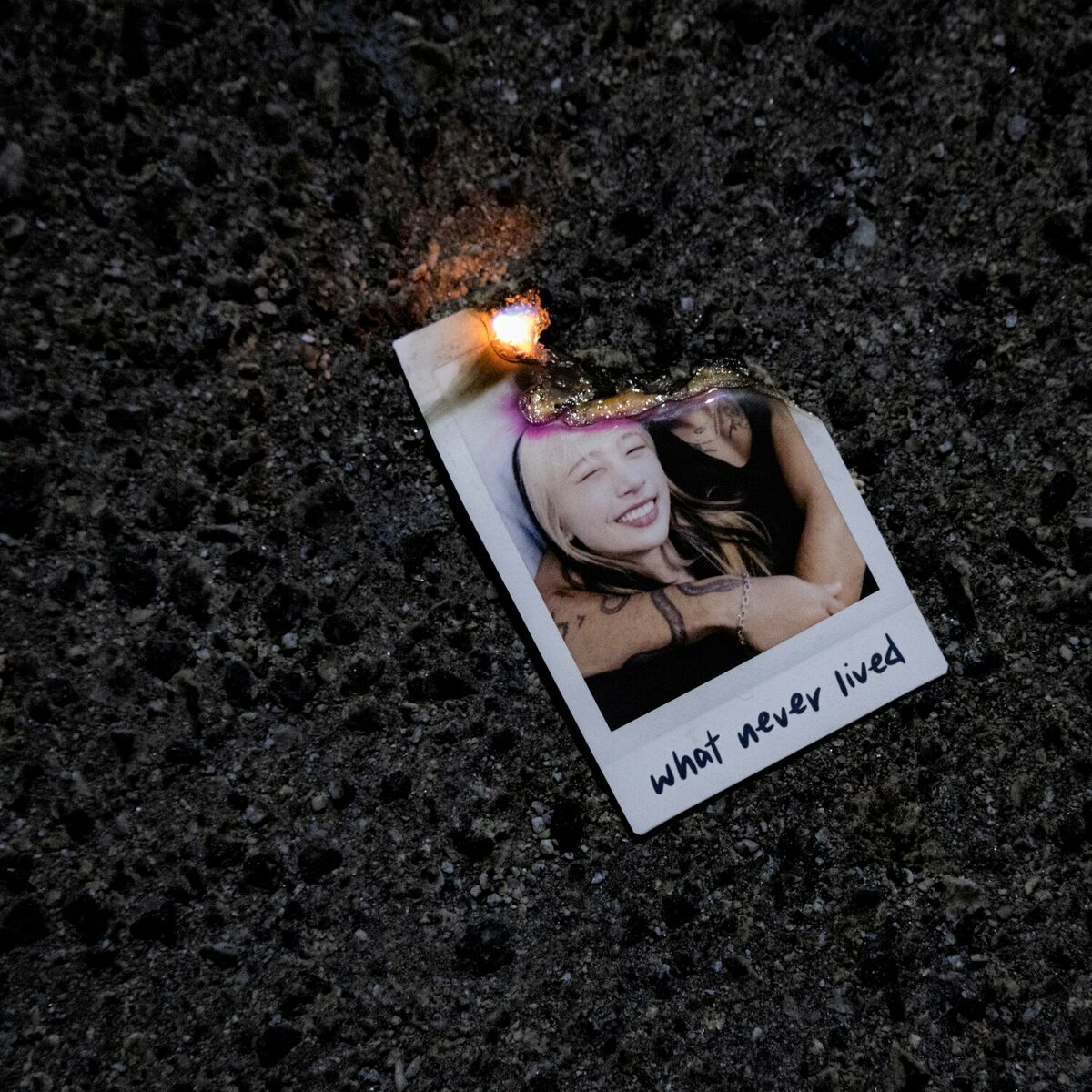 Album cover of what never lived