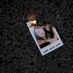 Cover of what never lived