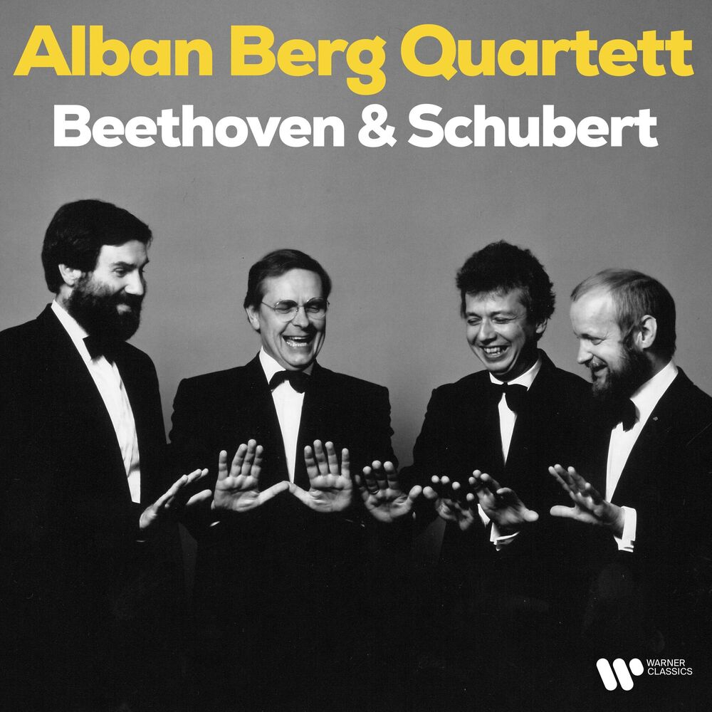 Picture of Beethoven & Schubert