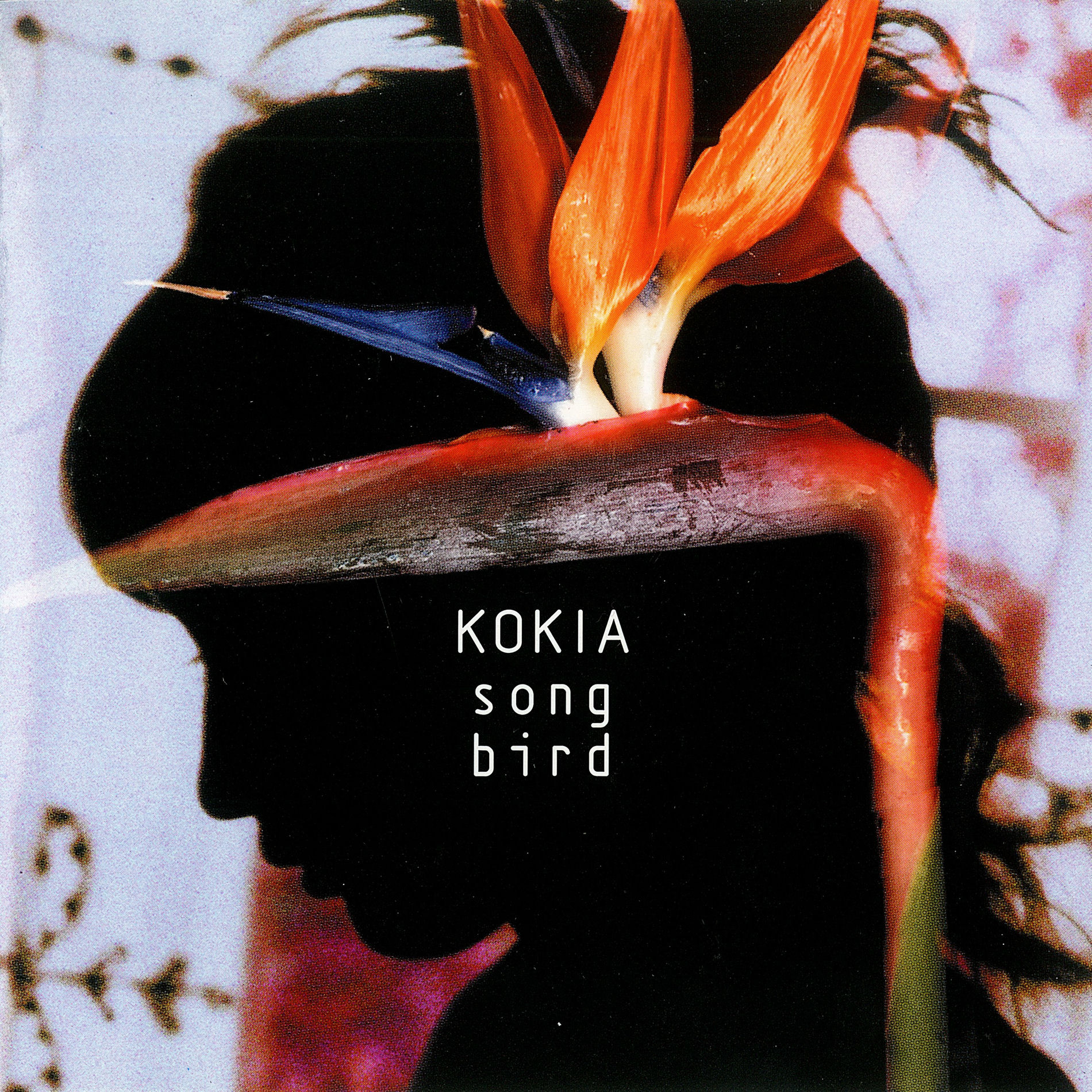KOKIA アルバムセット 7枚セット KOKIA アルバム 7枚セット - メルカリ