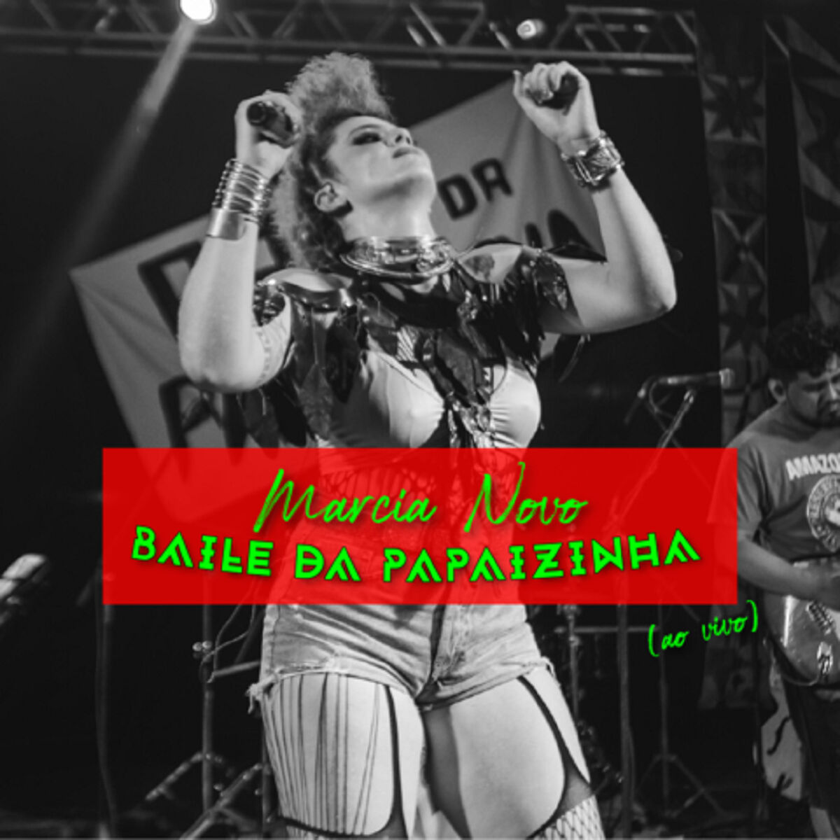 Album cover of Baile da Papaizinha (Ao Vivo)
