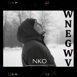 Cover of Wnegwv