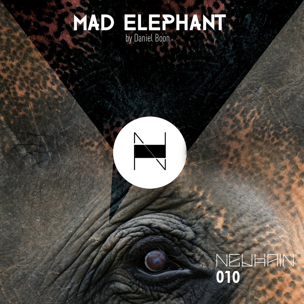 Picture of Mad Elephant