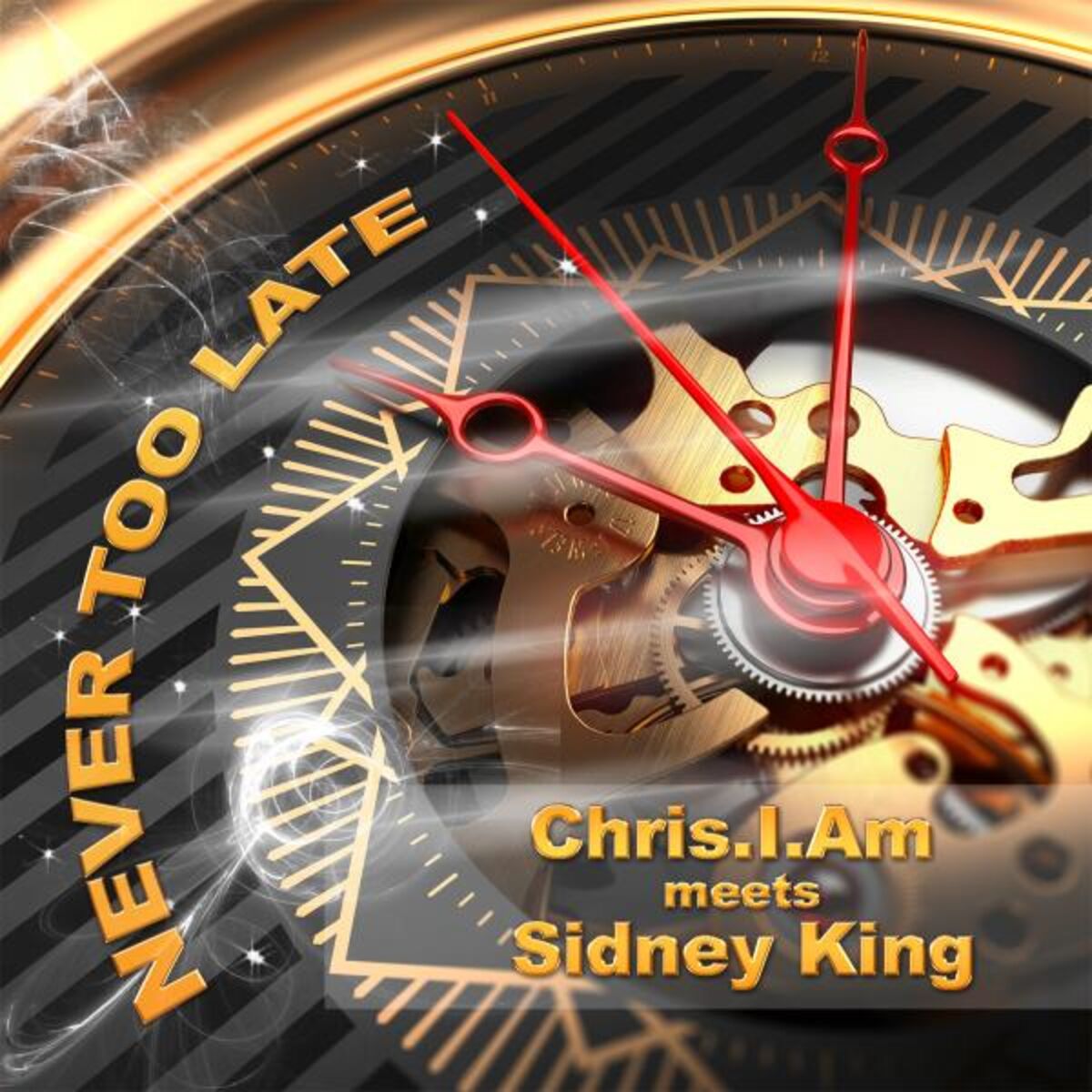 Album cover of Never Too Late