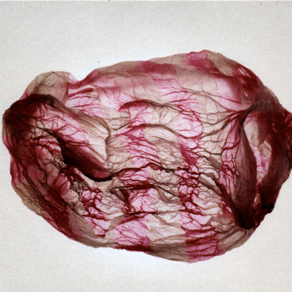 Album cover of Distant Sounds of Summer