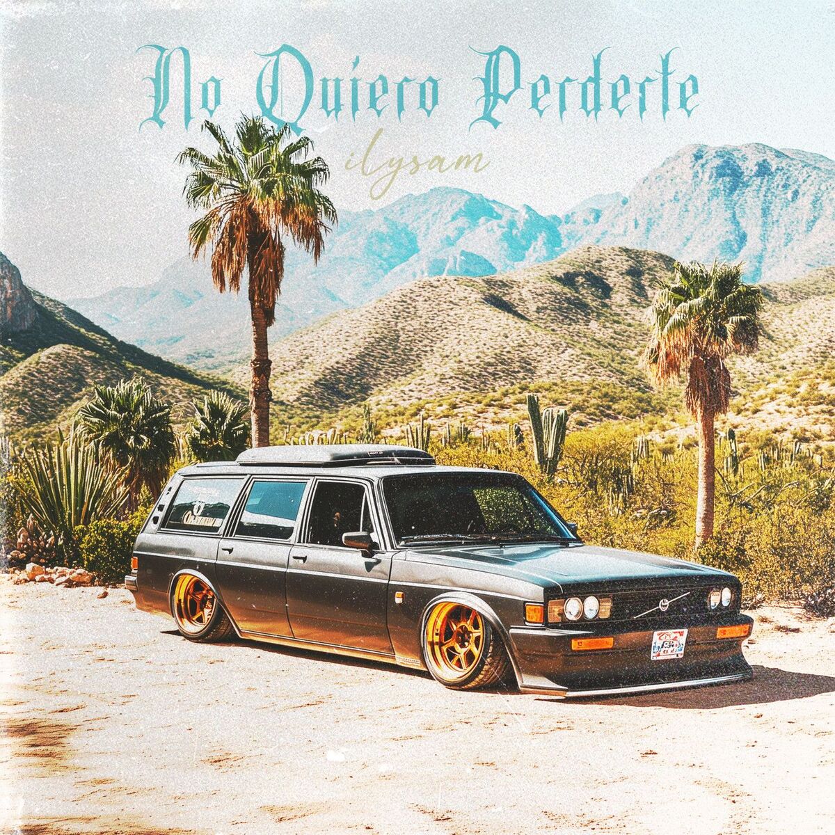 Album cover of No Quiero Perderte