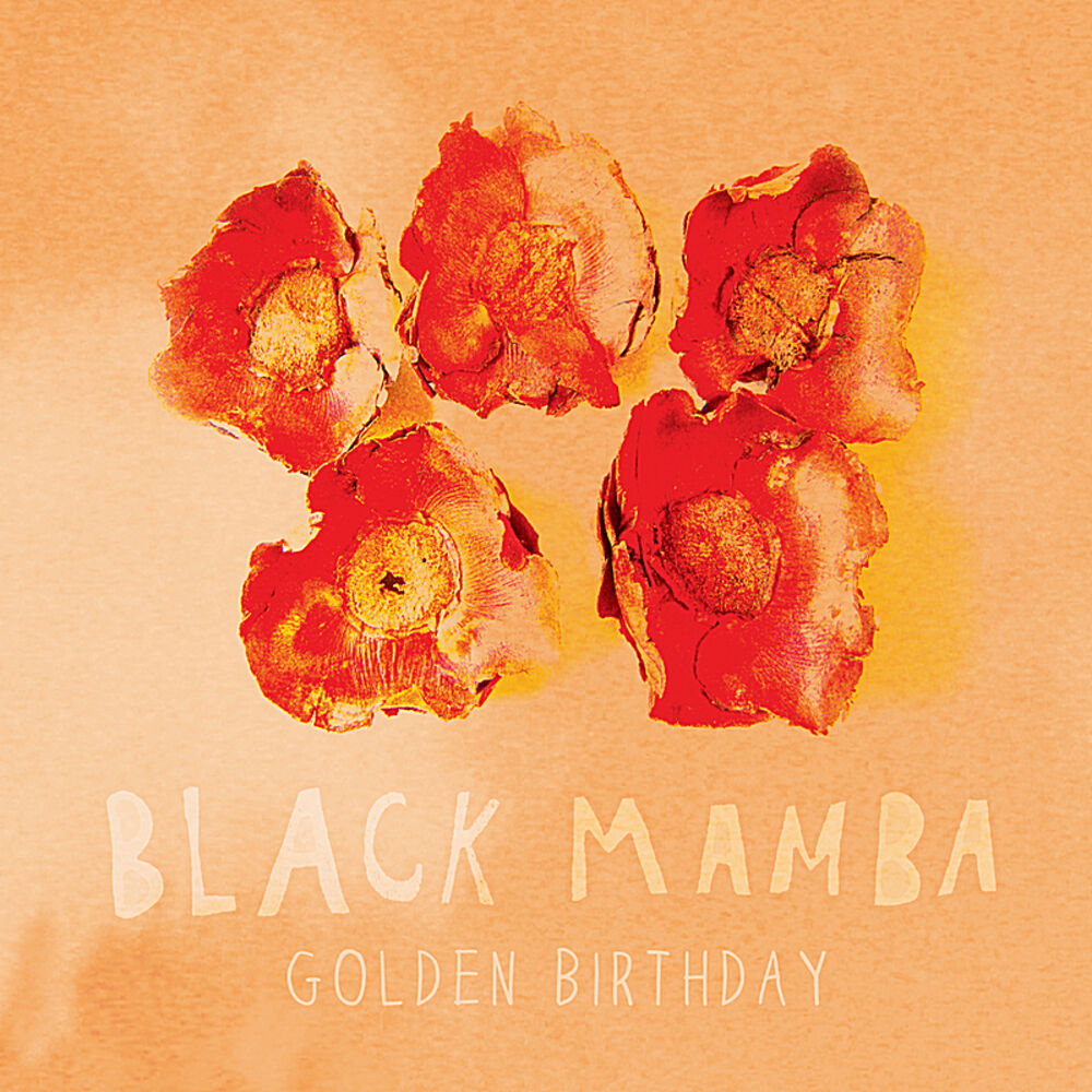 Picture of Golden Birthday