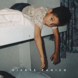 Cover of Niente Panico