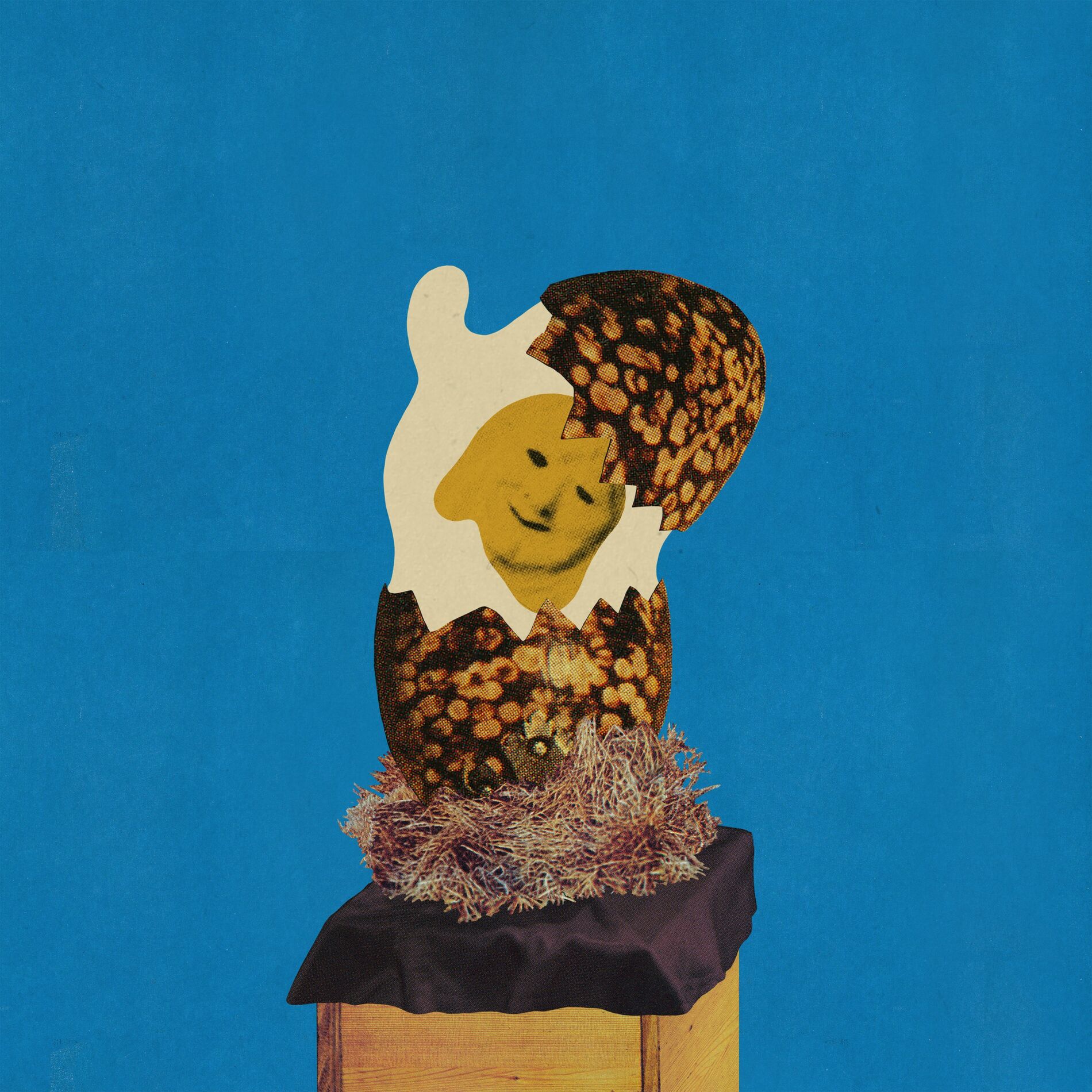 Album cover of Domino