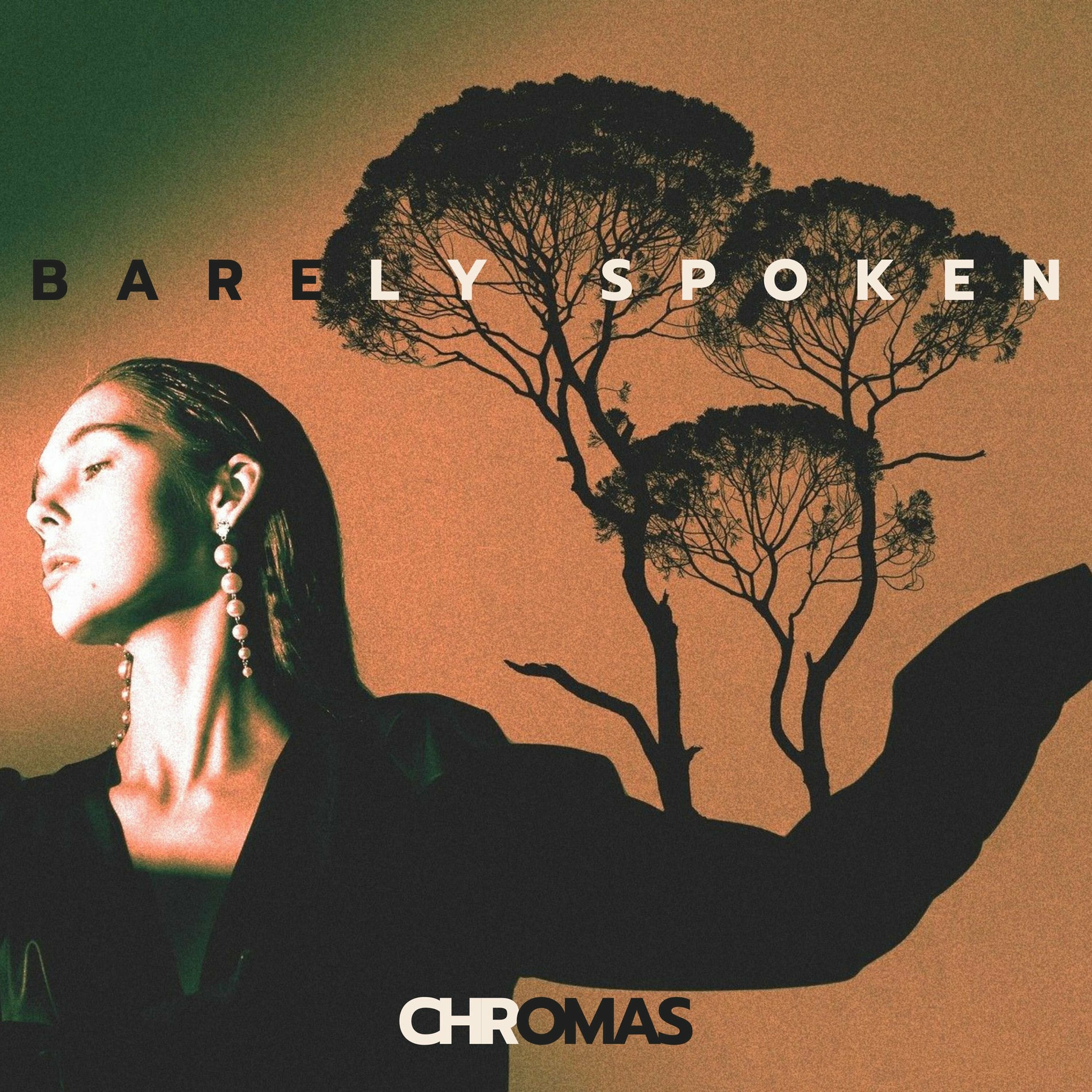 Album cover of Barely Spoken: Beyond the Last Light