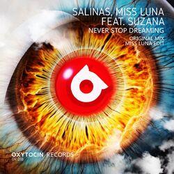 Cover of Never Stop Dreaming