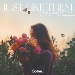Cover of Just Like Them
