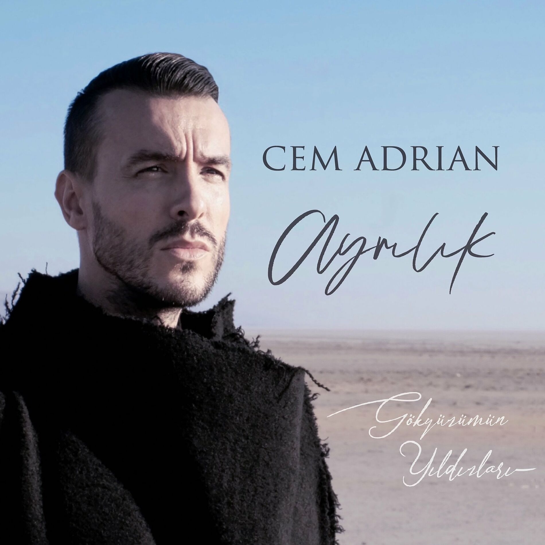 Album cover of Ayrılık