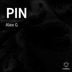 Cover of PIN