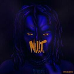 Cover of Nuit