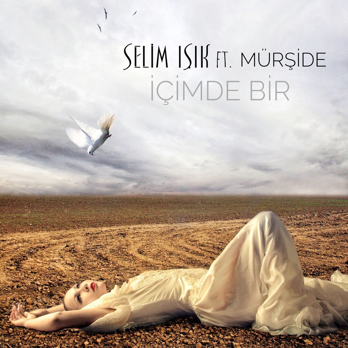 Album cover of İçimde Bir