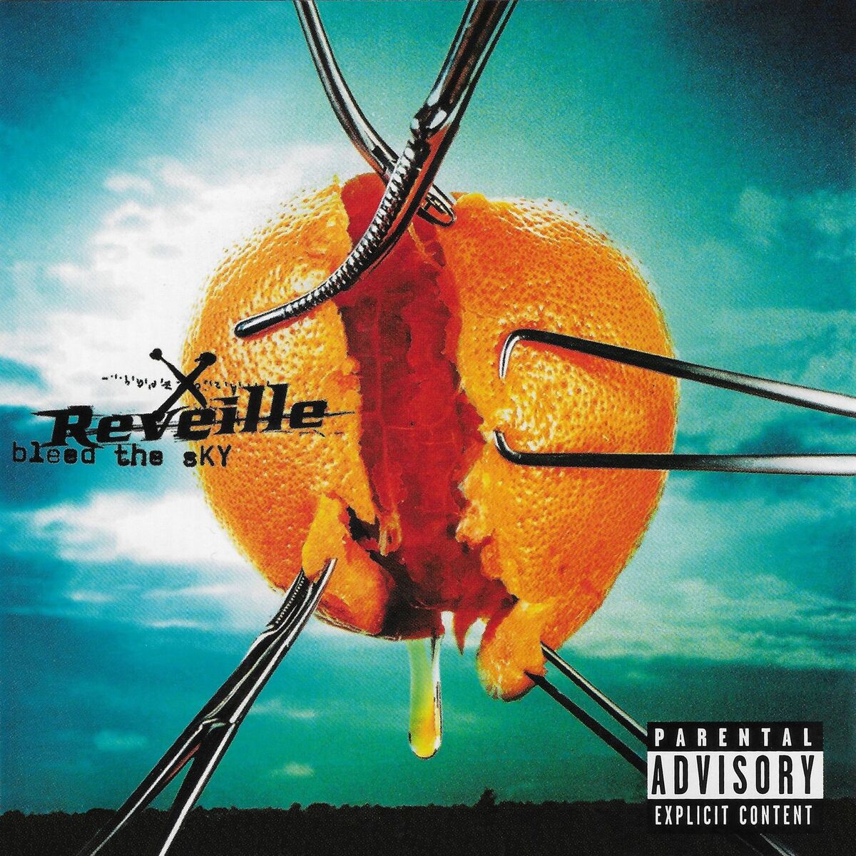 Album cover of Bleed The Sky