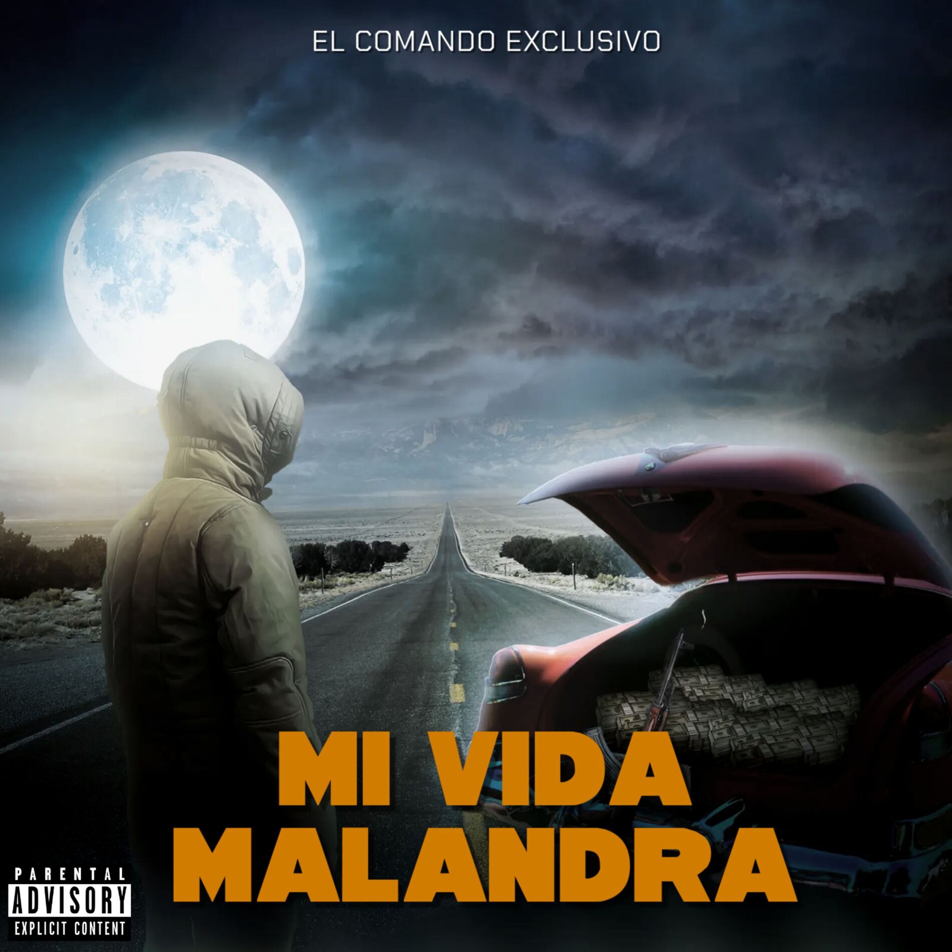 Album cover of Mi Vida Malandra