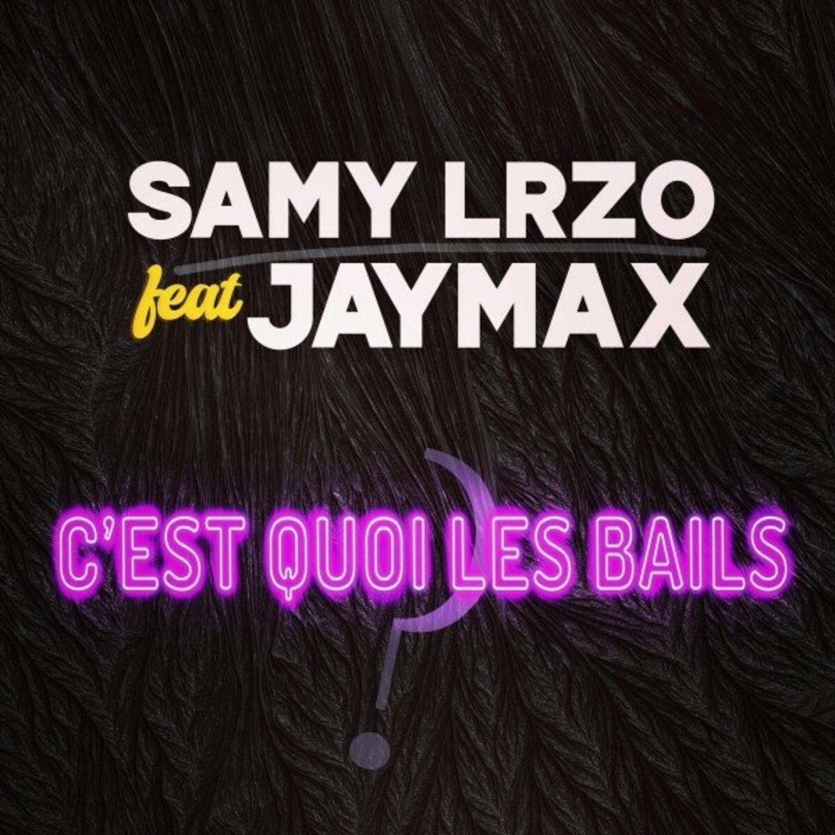 Album cover of C'est quoi les bails ?