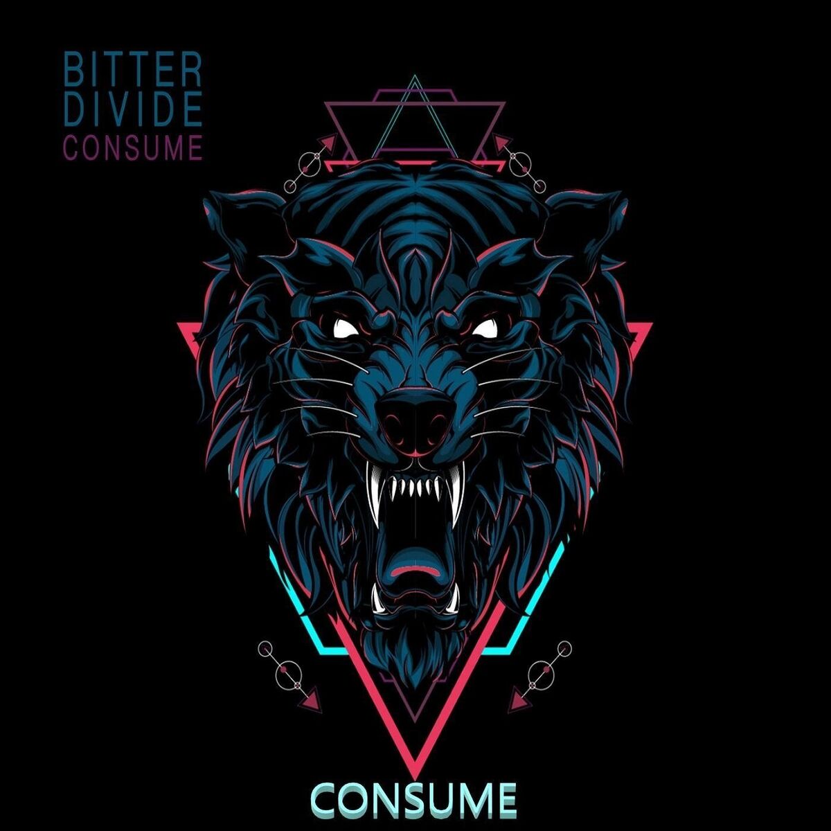 Album cover of Consume