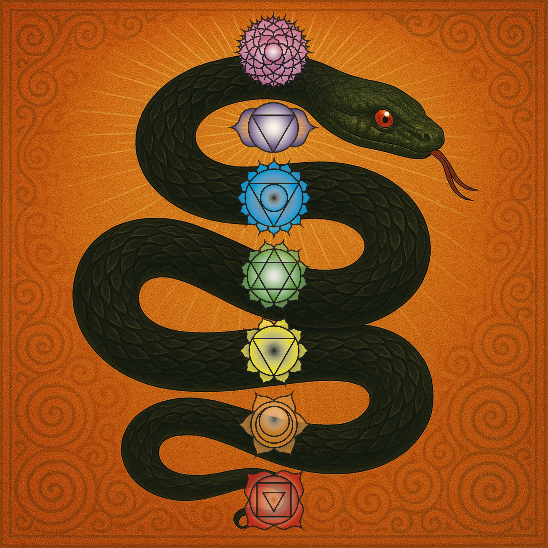 Album cover of El Sendero de la Serpiente