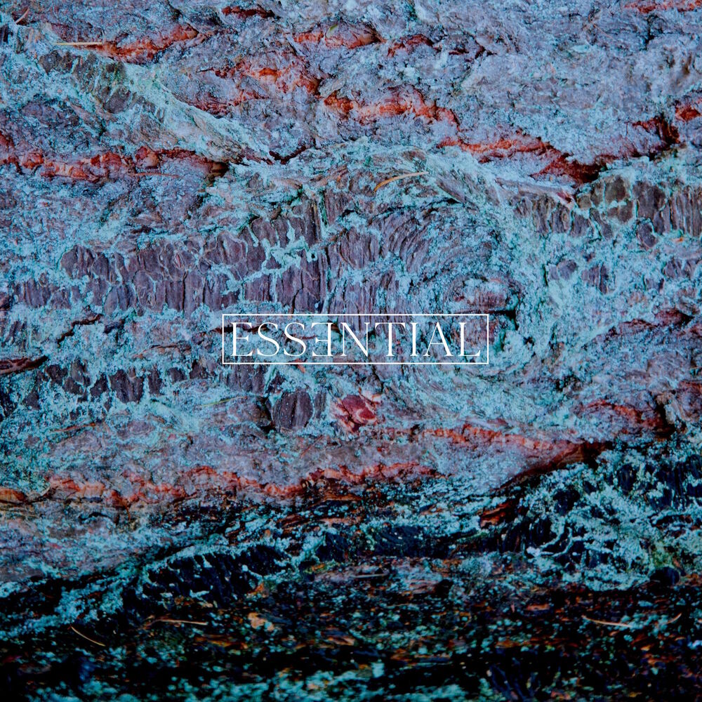 Picture of ESSENTIAL 003