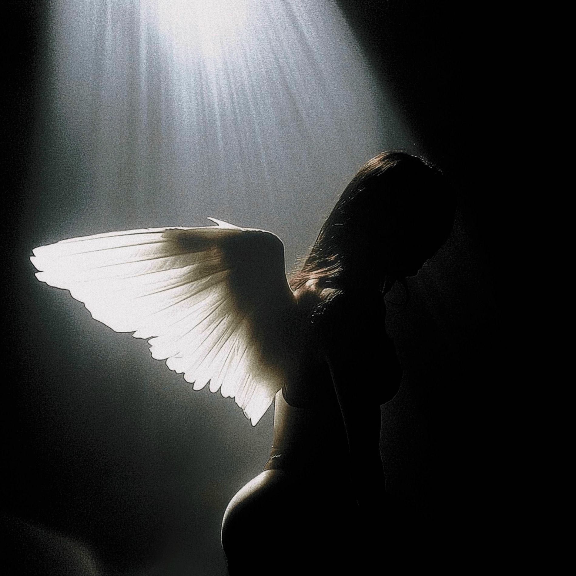 Album cover of i know