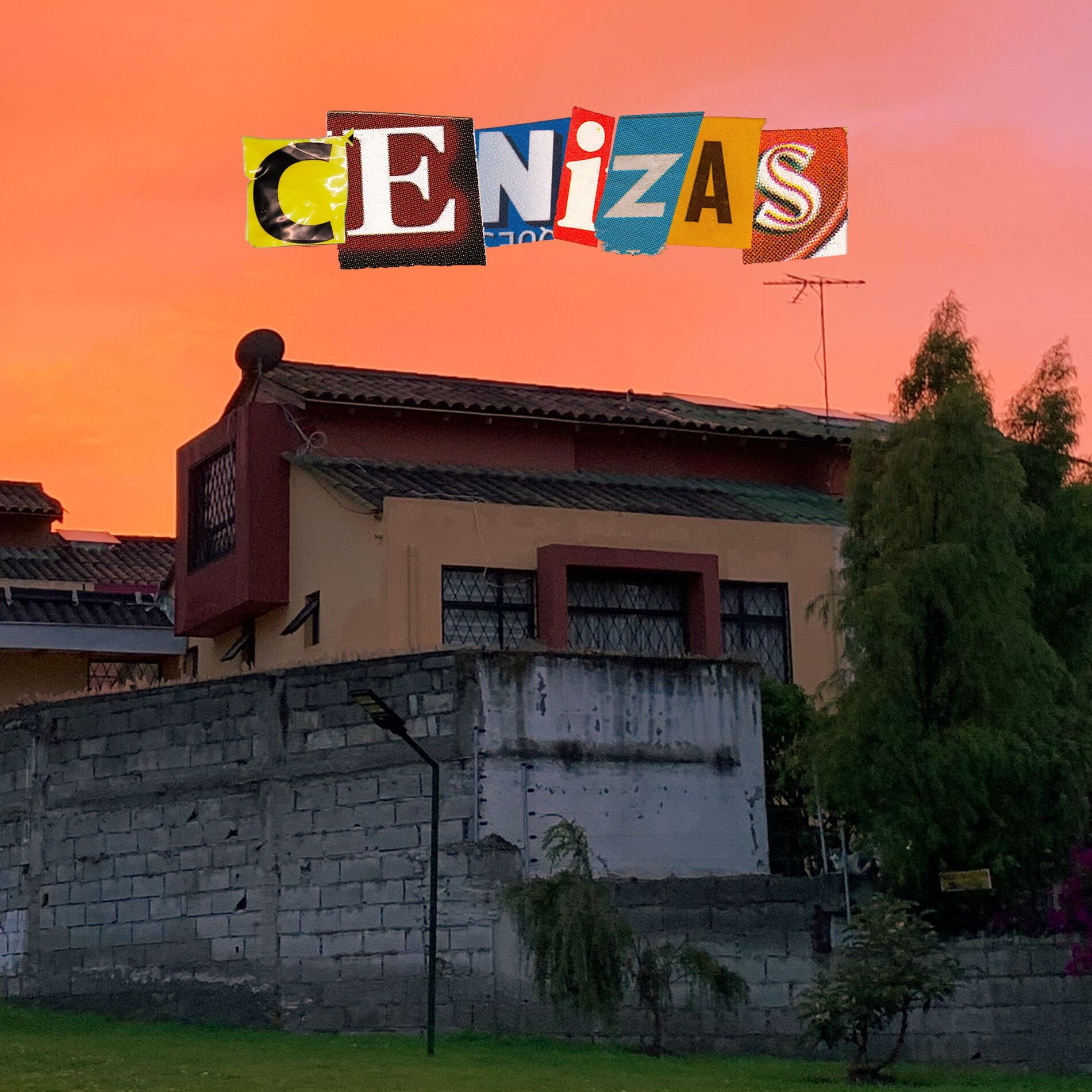 Album cover of Cenizas