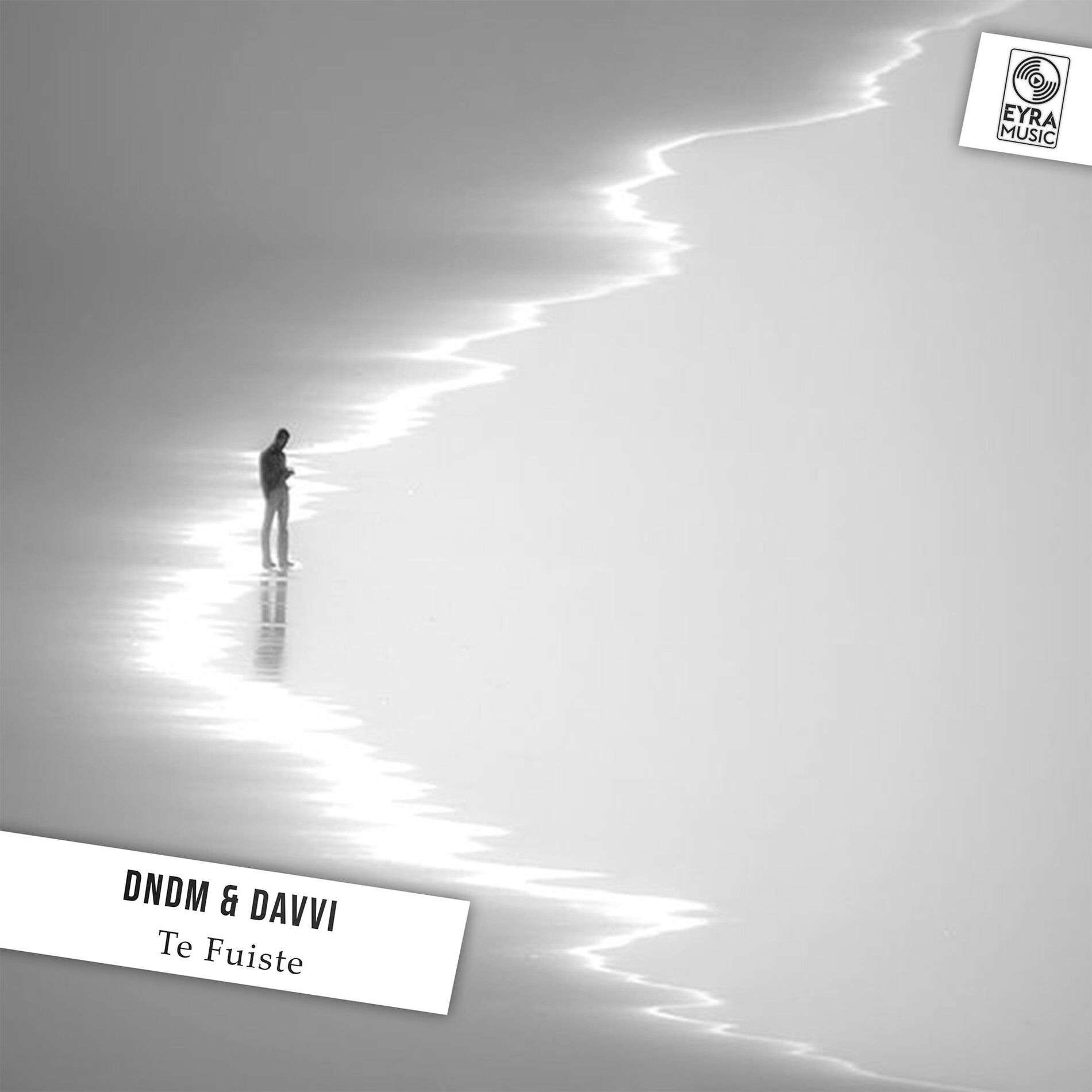 Album cover of Te Fuiste