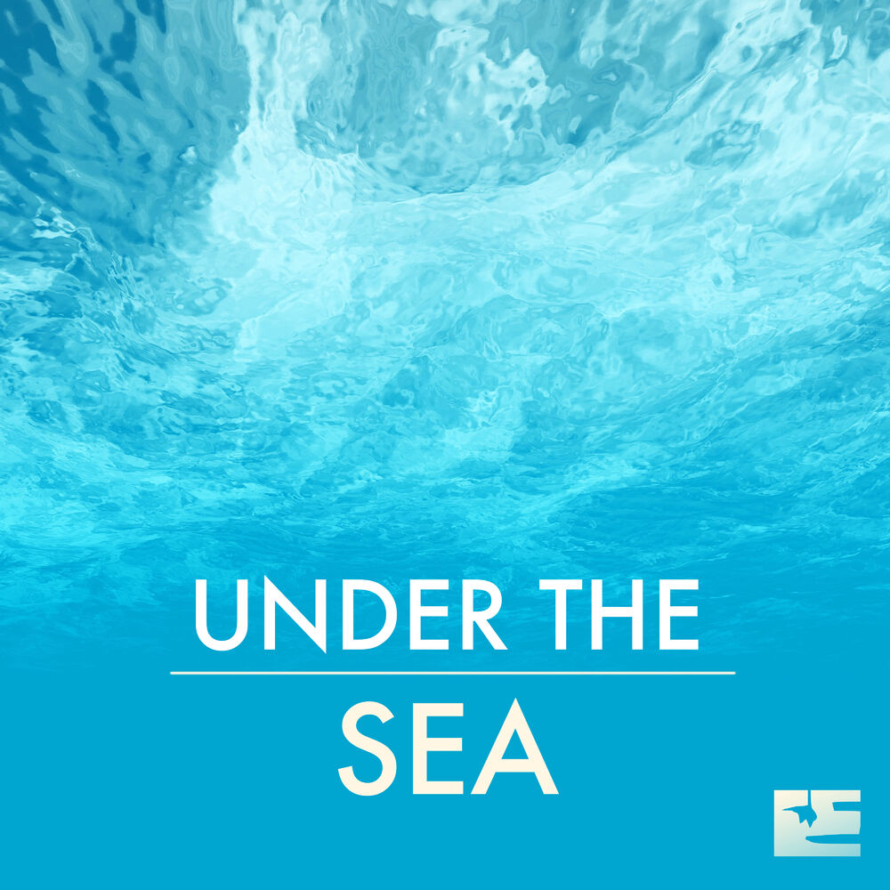 Picture of Under the Sea - Seashore Wave Sounds of Nature for Healing and Deep Sleep