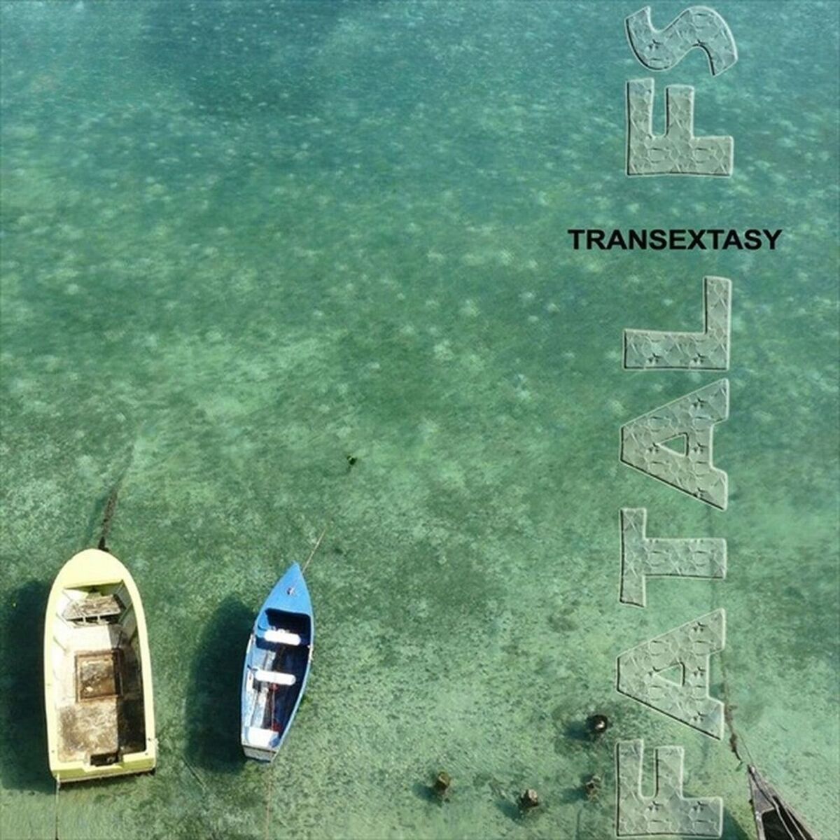 Album cover of Fatal FS