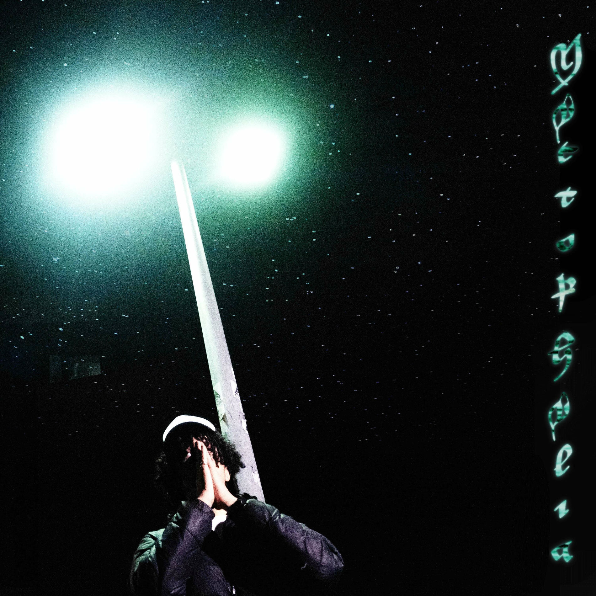 Album cover of NYCTOPHILIA