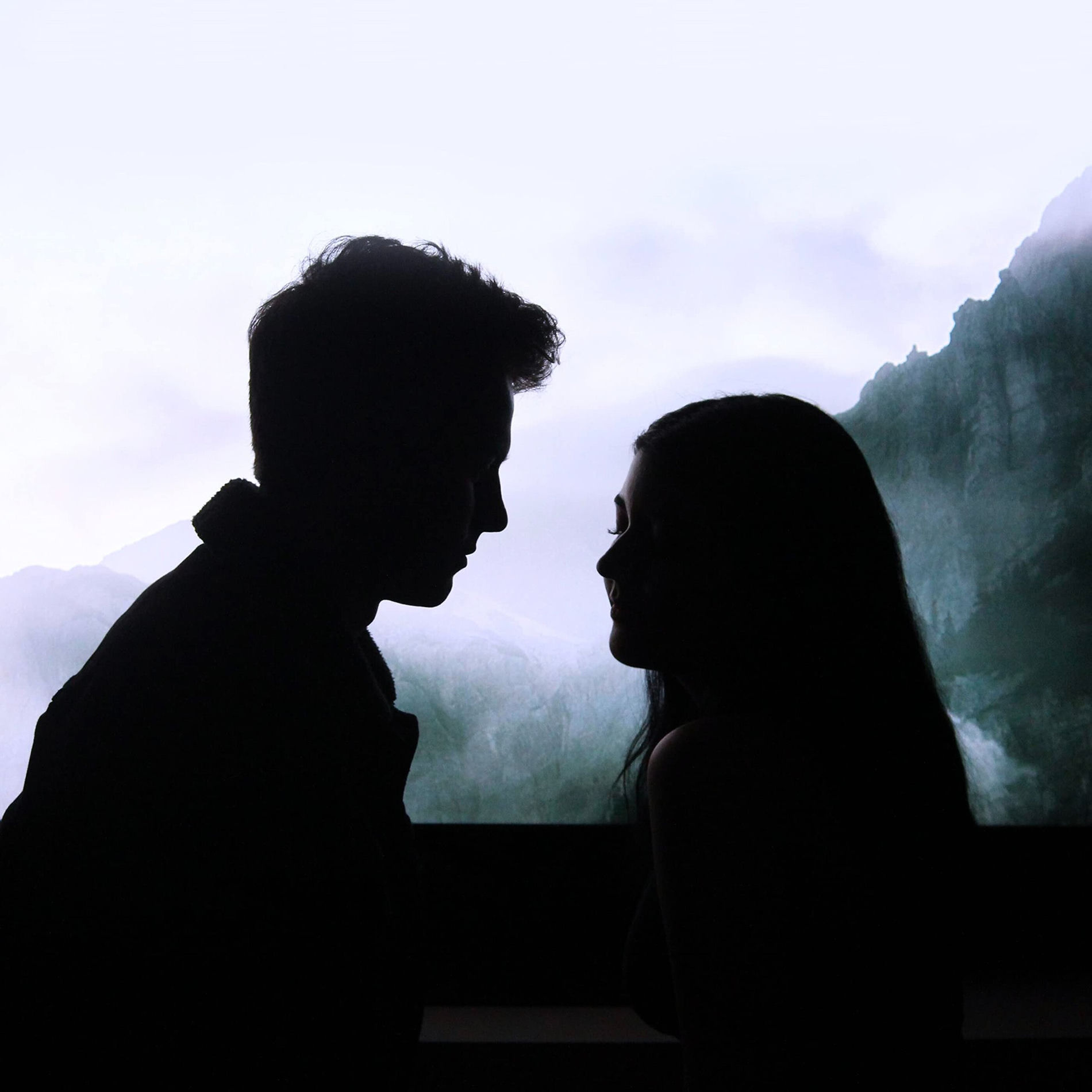 Album cover of Volvió