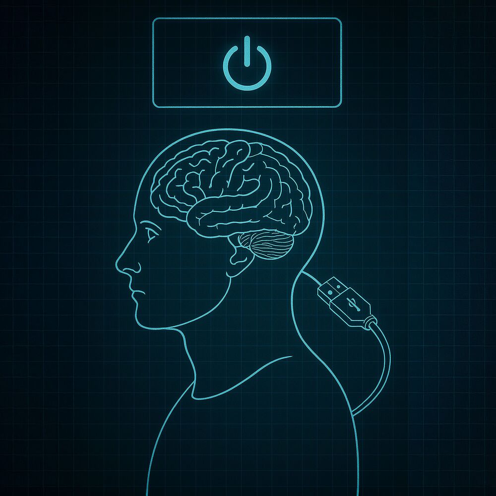 Picture of Rebooting the Mind