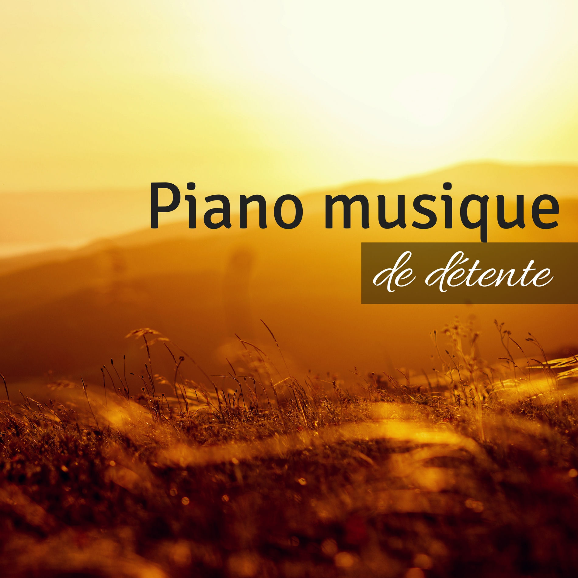 Album cover of Piano musique de détente - Surmonter la dépression avec la thérapie naturelle et sons de la nature