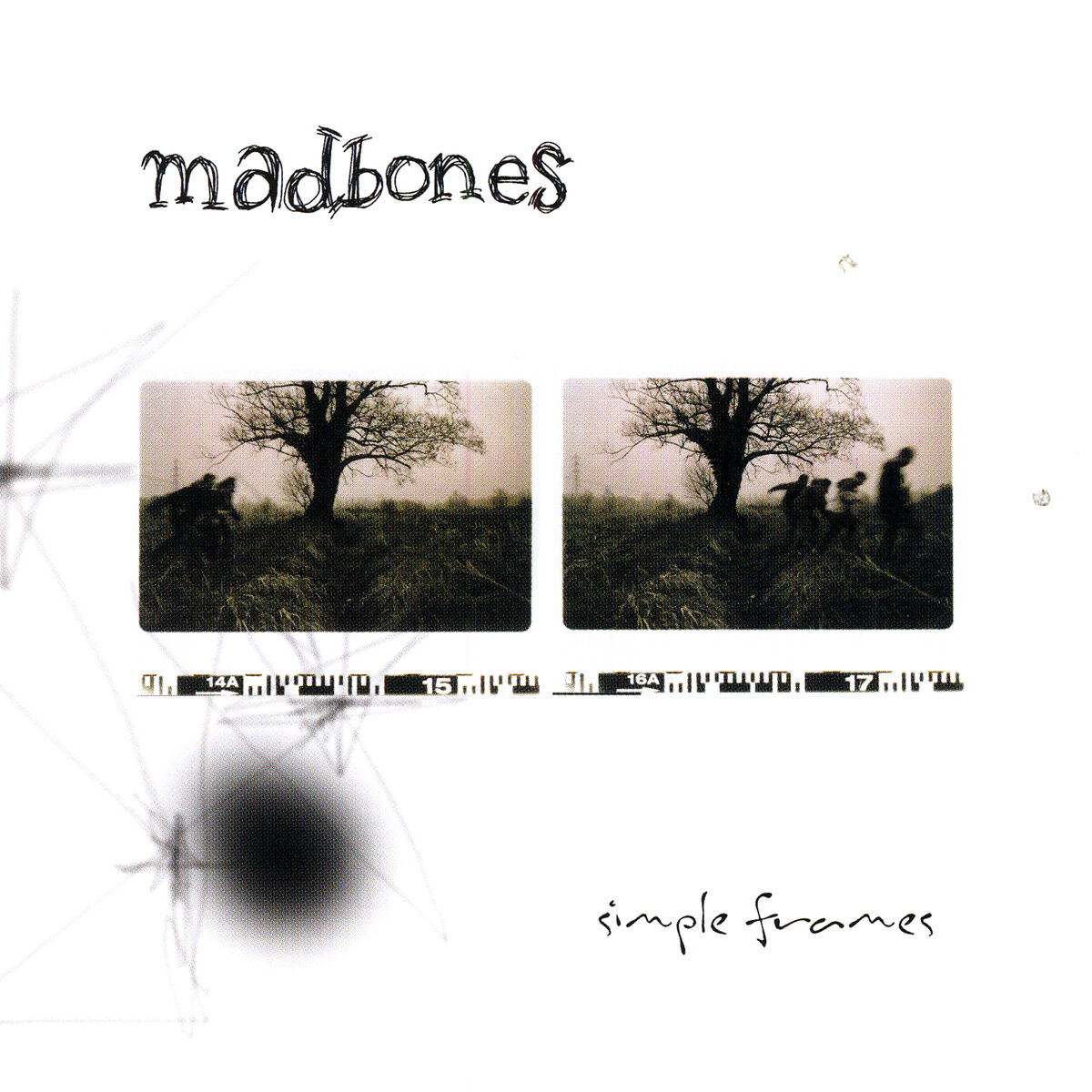 Album cover of Simple Frames