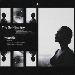 Cover of Polarize, Pt. 1