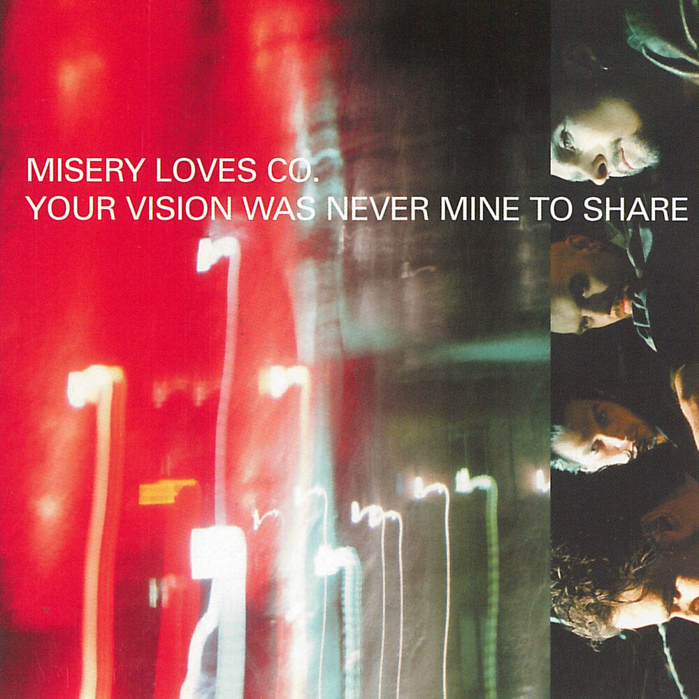 Picture of Your Vision Was Never Mine To Share