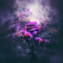 Cover of Rose From The Concrete