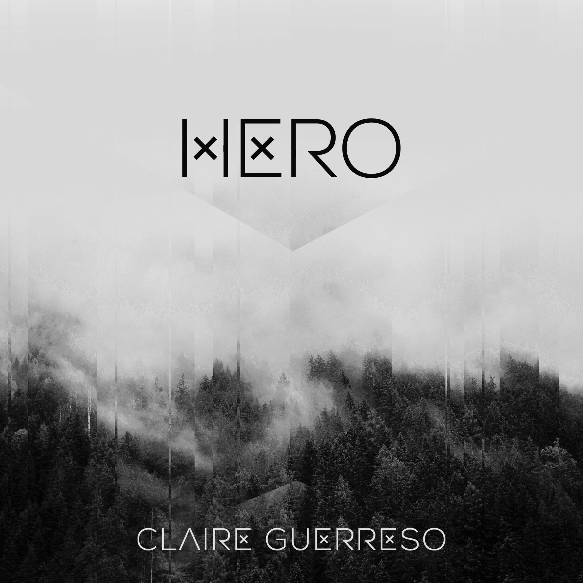 Album cover of Hero