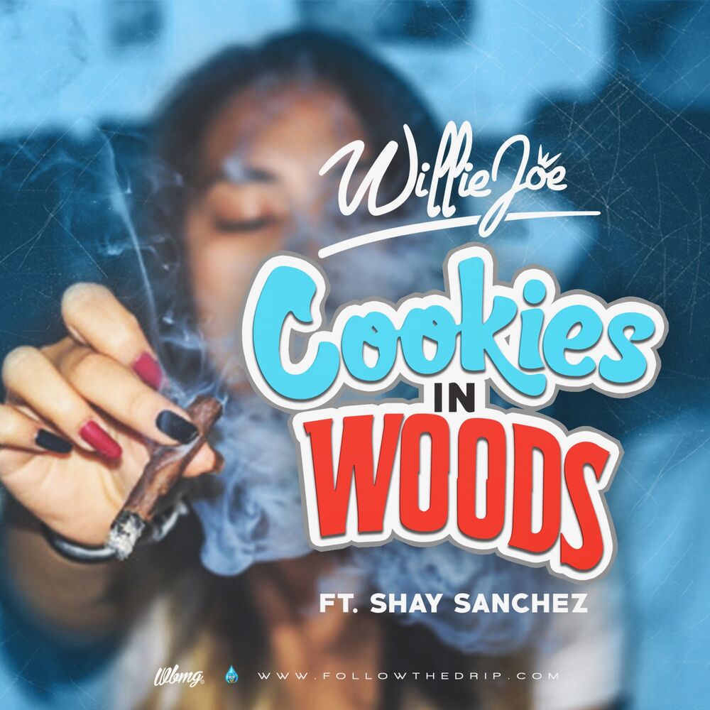Picture of Cookies in Woods (feat. Shay Sanchez)