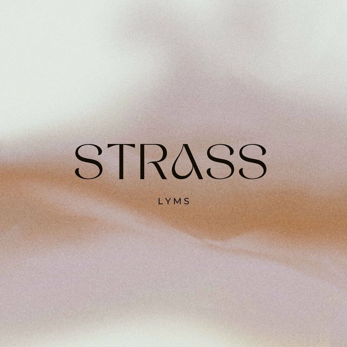 Album cover of Strass