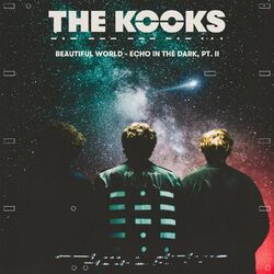 Cover of Beautiful World - Echo in the Dark, Pt. II